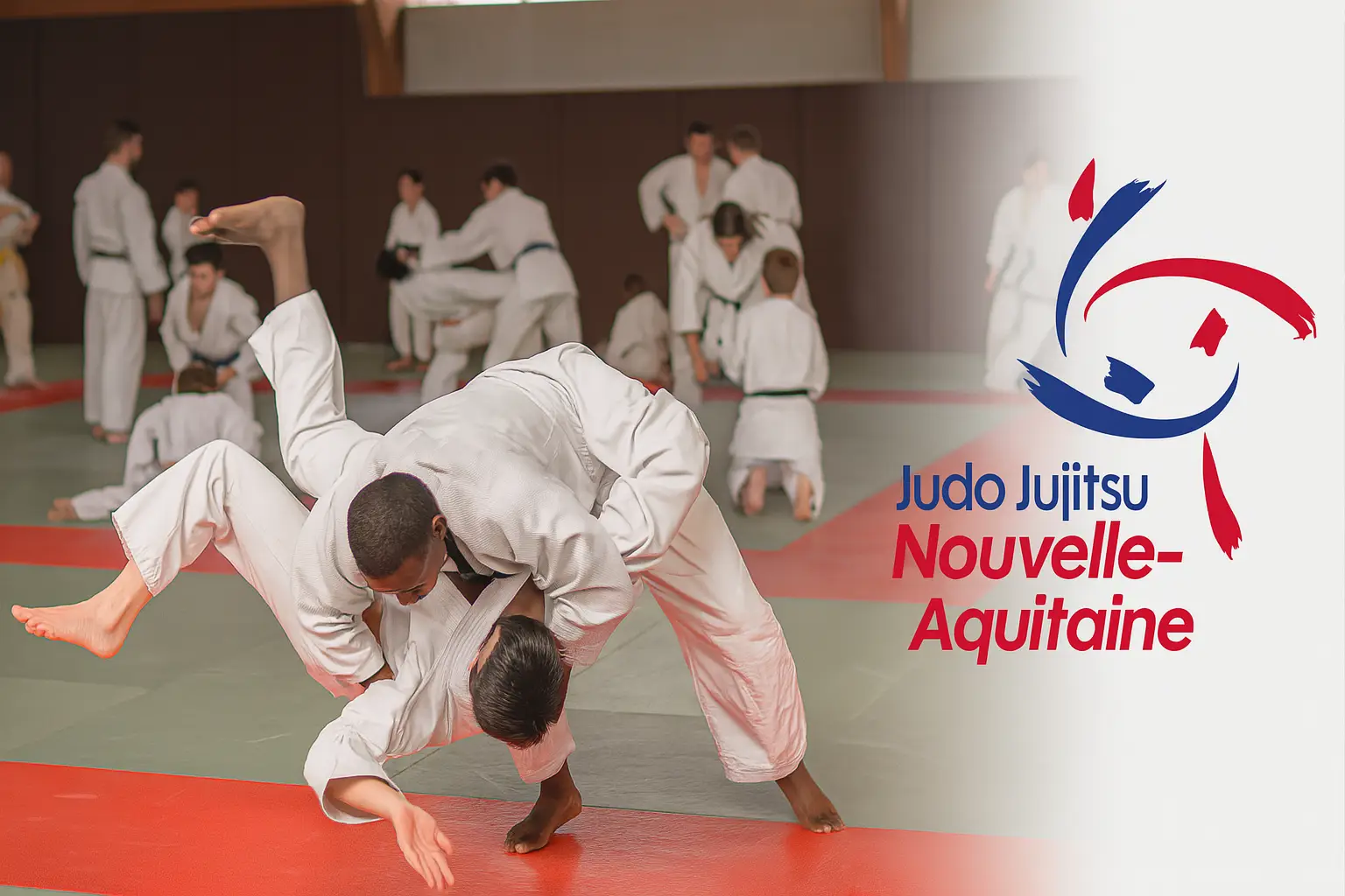 Livre Culture Judo Pour Tous – Esprit Maison / Ligue Nouvelle-Aquitaine – Bon état
